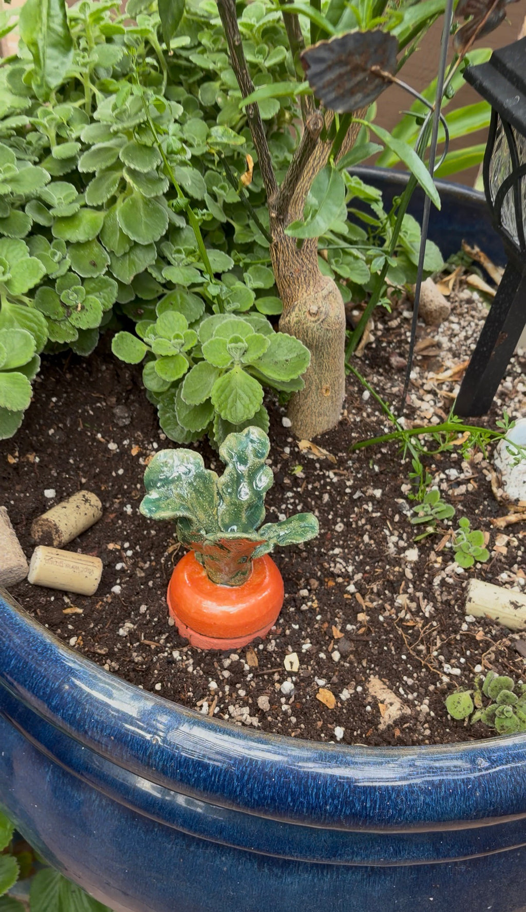 Veggie Self Watering Olla